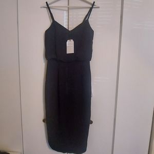 NWT Dress the Population